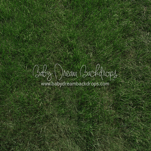 Fresh Summertime Grass (CC)