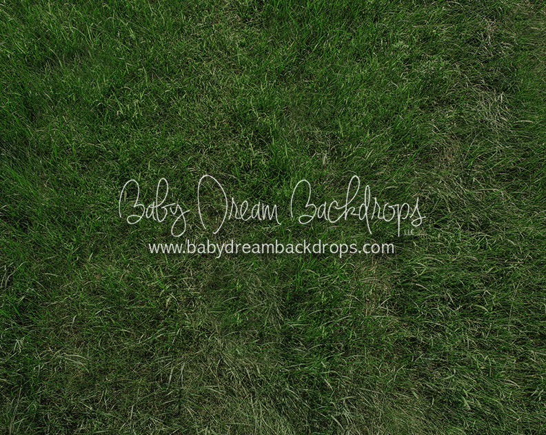 Fresh Summertime Grass (CC)