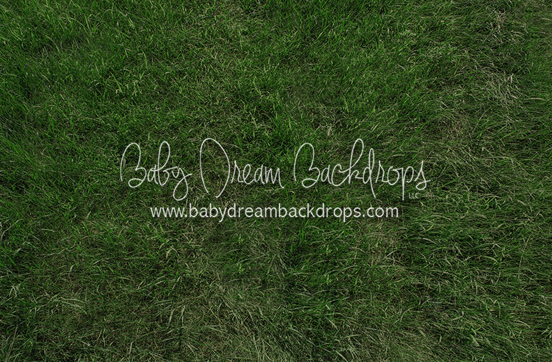 Fresh Summertime Grass (CC)