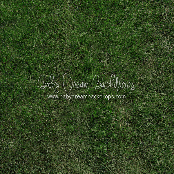 X Drop Fresh Summertime Grass (CC)
