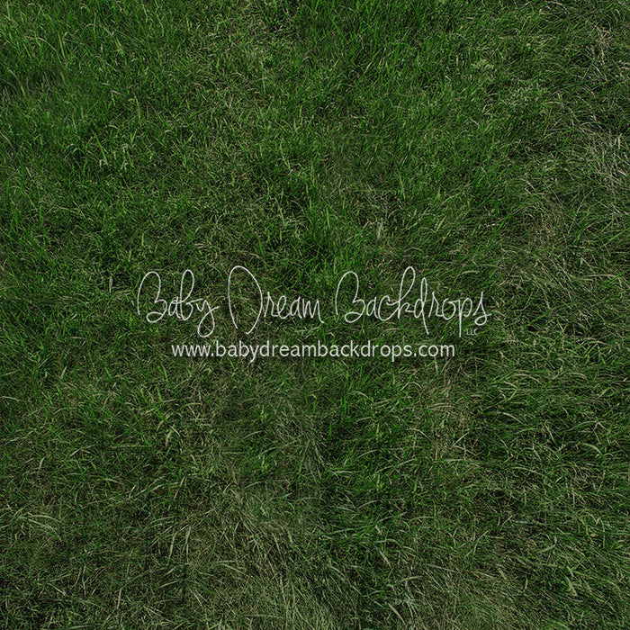 Fresh Summertime Grass (CC)