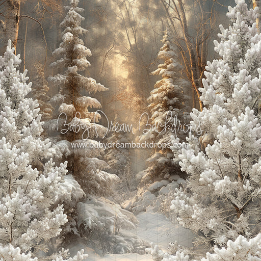 Frosted Fantasy Forest (CC)