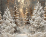 Frosted Fantasy Forest (CC)