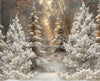 Frosted Fantasy Forest (CC)