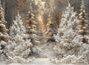 Frosted Fantasy Forest (CC)