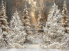 Frosted Fantasy Forest Lights (CC)