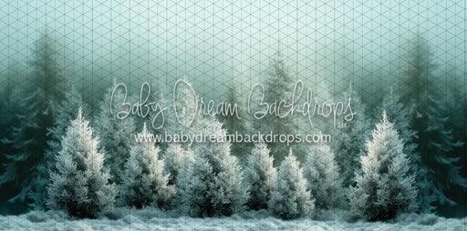 Frozen Misty Green Pines (BD)