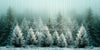 Frozen Misty Green Pines (BD)