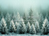 Frozen Misty Green Pines (BD)