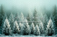 Frozen Misty Green Pines (BD)