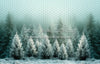 Frozen Misty Green Pines (BD)