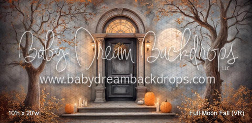 Full Moon Fall (VR)