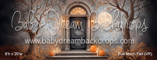 Full Moon Fall (VR)
