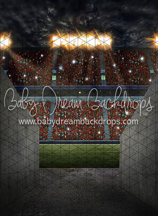 Game Day Tunnel (CC)