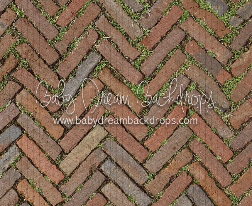 Garden Herringbone Brick (CC)