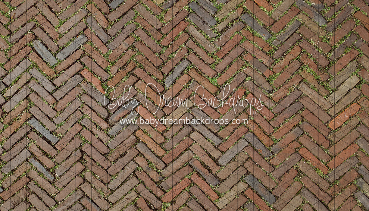 Garden Herringbone Brick (CC)