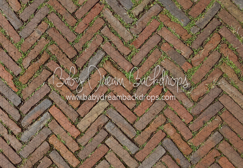Garden Herringbone Brick Floor (CC)