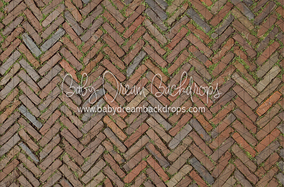 Garden Herringbone Brick Floor (CC)