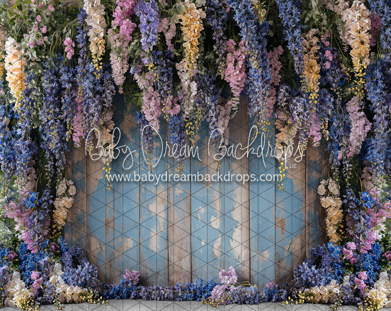 Garden Wisteria (JA)