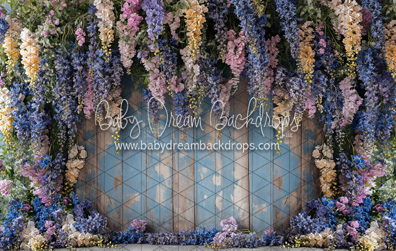 Garden Wisteria (JA)