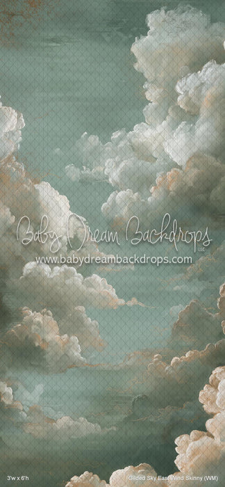 Gilded Sky East Wind Skinny (WM)