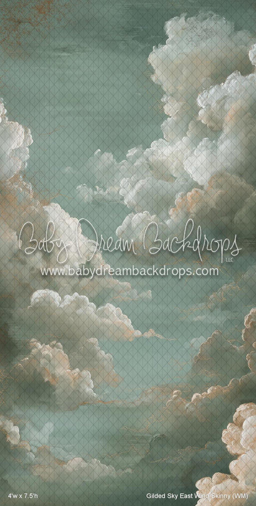 Gilded Sky East Wind Skinny (WM)