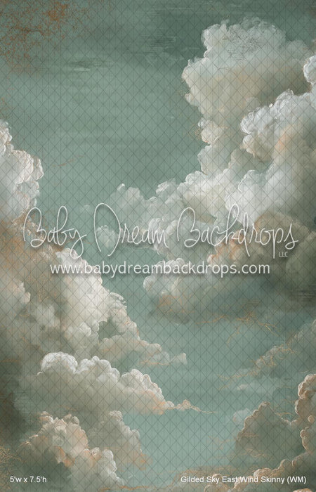 Gilded Sky East Wind Skinny (WM)