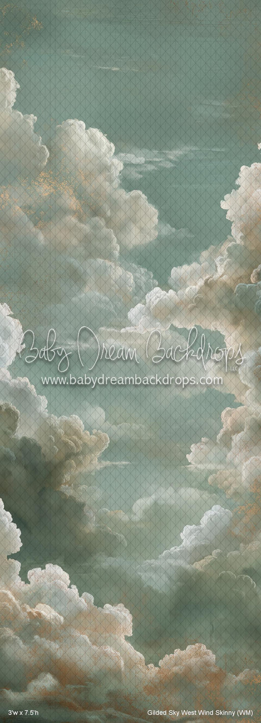 Gilded Sky West Wind Skinny (WM)