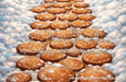 Gingerbread Charm Path Fabric Floor (MD)