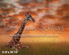 Giraffe on the Savannah (WM)