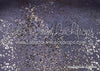 Glittered Suede Floor (BM)