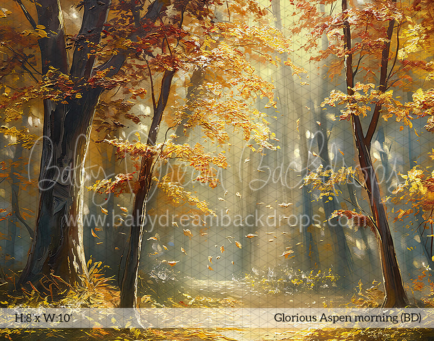 Glorious Aspen morning (BD)