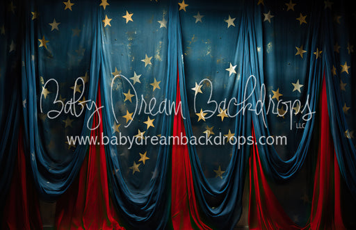 Gold Star Spangled Drapes (MD)