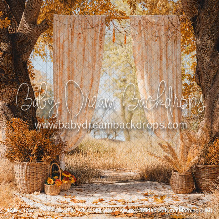 Golden Autumn Morning (HM)