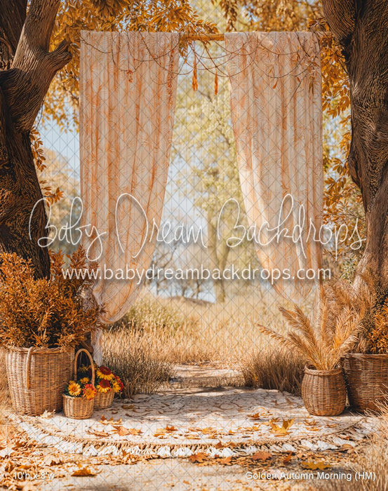 Golden Autumn Morning (HM)