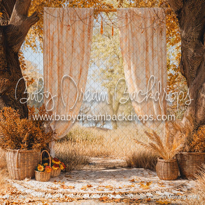 Golden Autumn Morning (HM)
