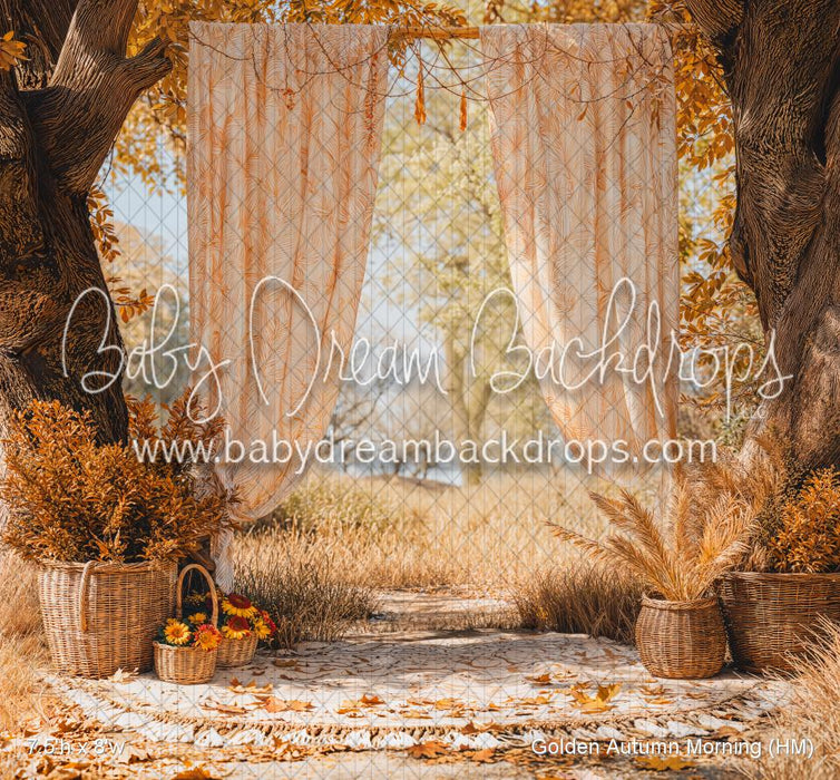Golden Autumn Morning (HM)