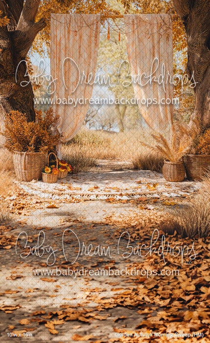 Golden Autumn Morning Sweep (HM)