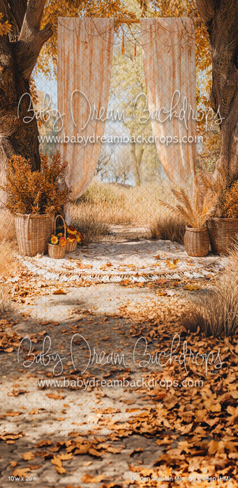 Golden Autumn Morning Sweep (HM)