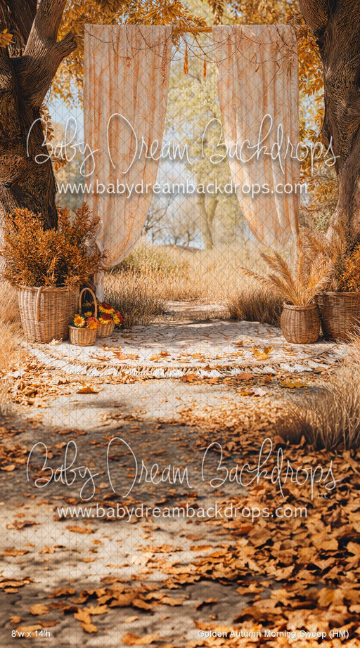 Golden Autumn Morning Sweep (HM)