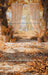 Golden Autumn Morning Sweep (HM)