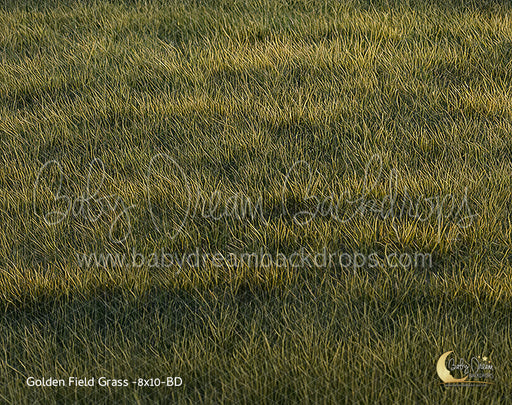 Golden Field Grass (BD)