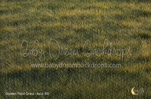Golden Field Grass (BD)