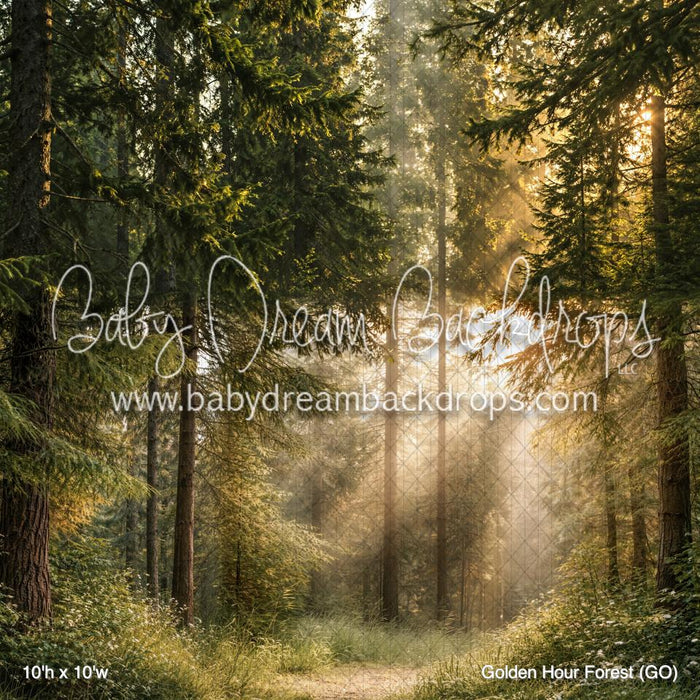 Golden Hour Forest (GO)