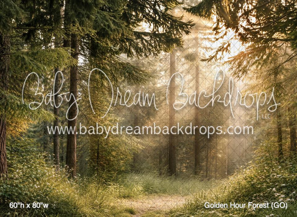 Golden Hour Forest (GO)