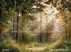 Golden Hour Forest (GO)