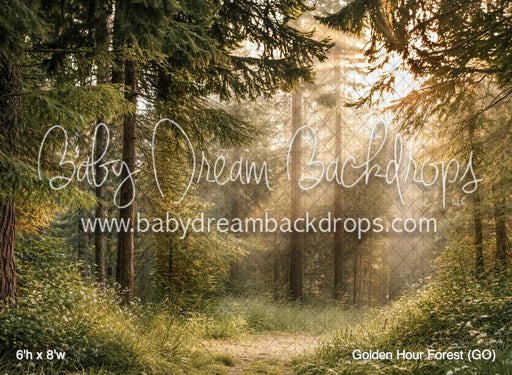 Golden Hour Forest (GO)