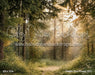 Golden Hour Forest (GO)
