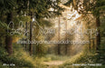 Golden Hour Forest (GO)
