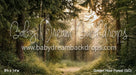 Golden Hour Forest (GO)
